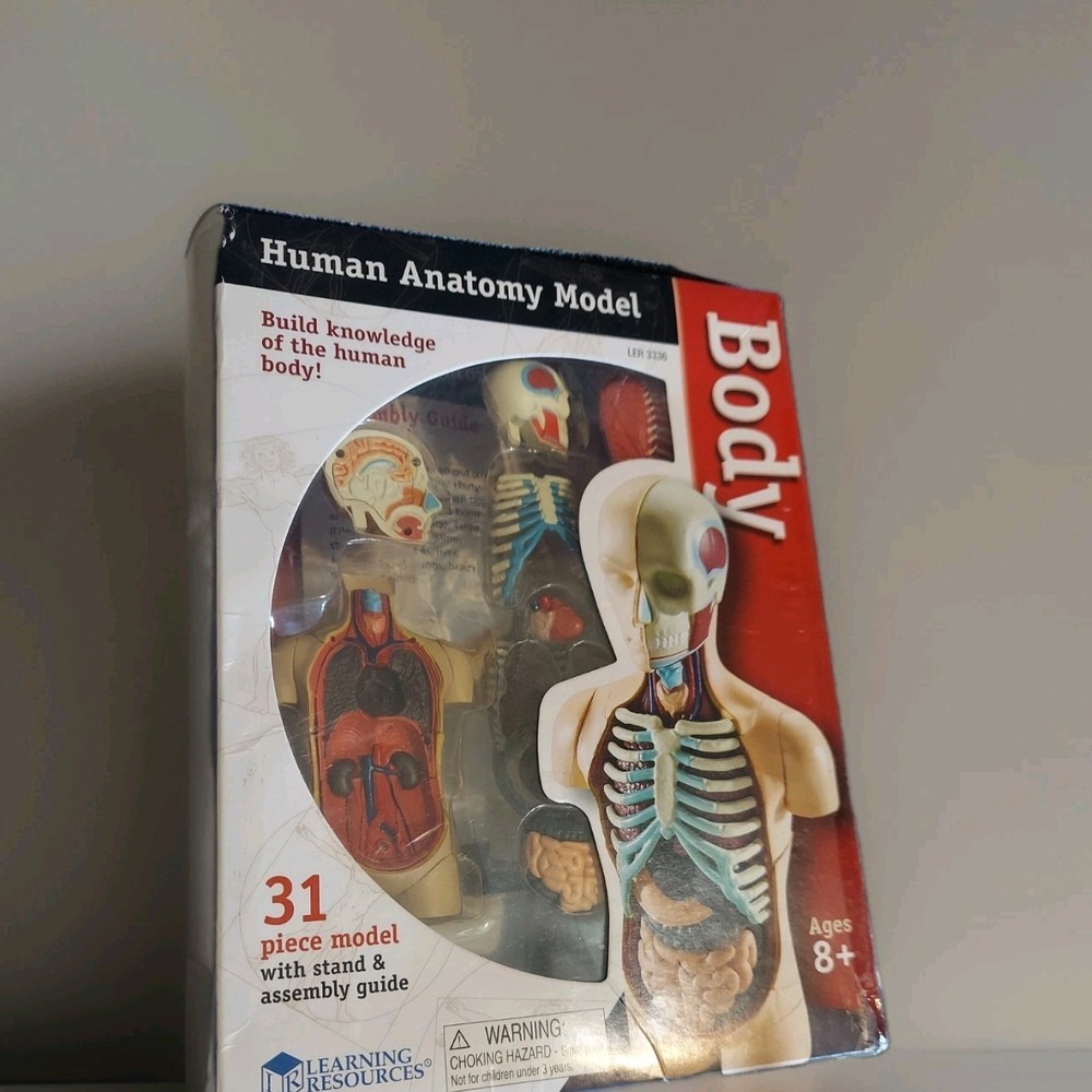 Human Body Learning Resources Educational Anatomy 31-Piece Model Set and‎ Stand